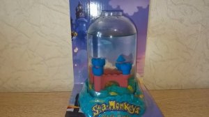 МОРСКИЕ ОБЕЗЬЯНКИ ARTEMIA SALINA