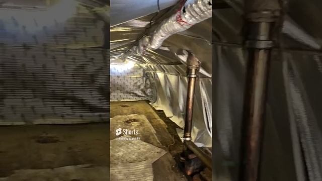Уборка грибного помещения