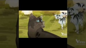 Коты воители Половинка луны и Воробей Клип Небо голубое солнце золотое Ответ пользователю НастяНаст