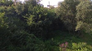 Ирбиту Этот МОСТ больше не НУЖЕН похоже! В городе Ирбите ПЕРЕСОХЛА полностью река ИРБИТКА давшая ЕМ