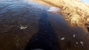 Закрытие сезона рыбалки кастинговой сетью