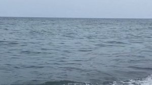 26.10.2023. Погода в Сочи в октябре. Смотри на Чёрное море каждый день.