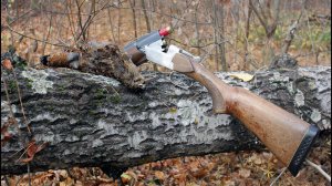 Осенняя охота на вальдшнепа с дратхааром