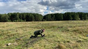 #деревня#лошадь#смех#