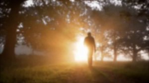 Игорь Матета-Только ночь