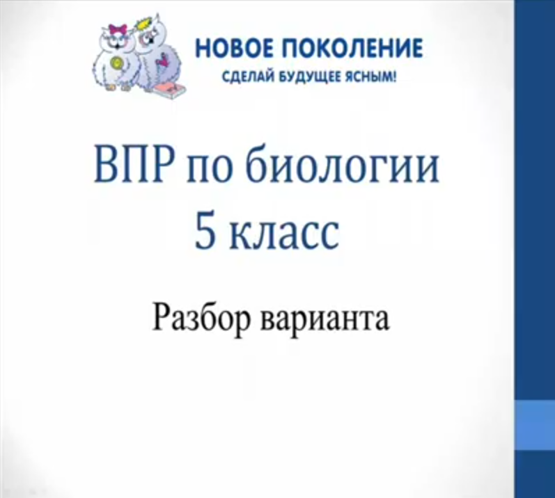 Биология. Разбор варианта ВПР по биологии 5 класс