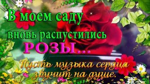 РОЗЫ*  Мой сад