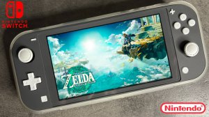 The Legend of Zelda Tears of the Kingdom Gameplay (2) Nintedo Switch Lite