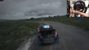 Hyundai i20 WRC Dirt Rally (logitech g29) gameplay