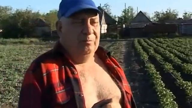 Полив огорода. 3 способа.