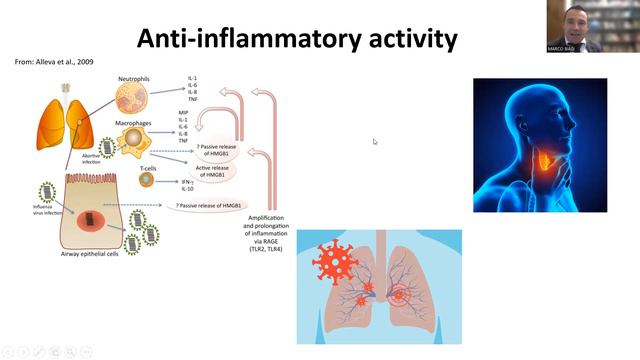 PROPOLI, antivirale e antinfiammatorio d'eccellenza смотреть онлайн