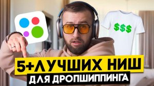 5+ ЛУЧШИХ ниш для ДРОПШИППИНГА, которые принесут МНОГО прибыли!