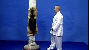 Байюань тунбей цюань