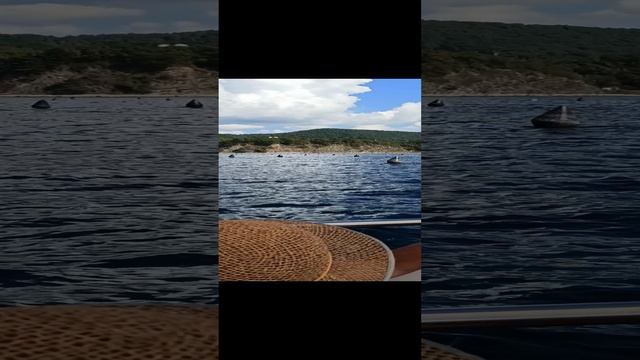 УСТРИЧНАЯ ФЕРМА