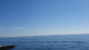 Крым. Какая погода в сентябре. Стоит ли ехать?