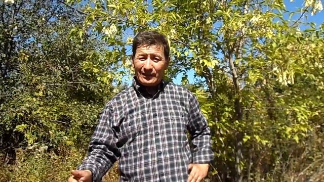 Почему ЯСЕНЬ для Резки Рун нужен? Почему ИМЕННО Ясень? | Введение в Магию Рун смотреть онлайн