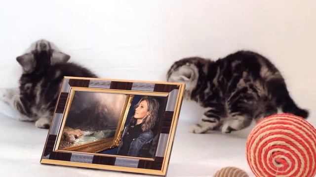 С днём рождения, Вива смотреть онлайн