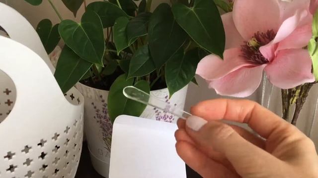 Обзор корейской косметики смотреть онлайн