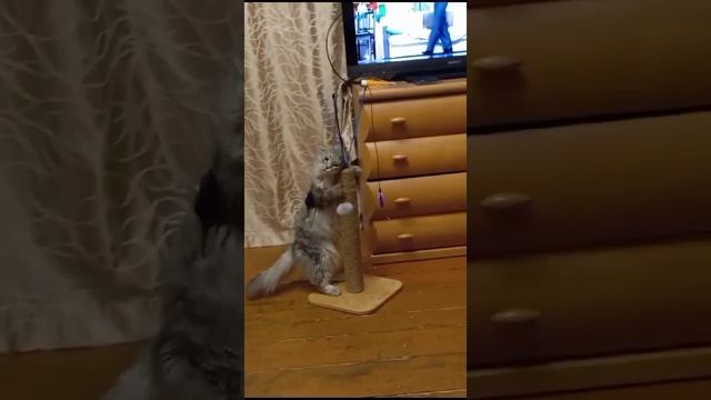 1000086449.mp4