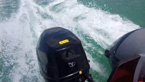 Тохатсу mfs 9.9 e +Флагман 420.Двигатель после обкатки