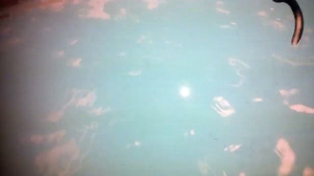 Я притворилась бедной в Адопт ми (Roblox) смотреть онлайн