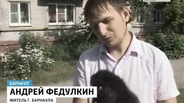 Домашний Бобёр смотреть онлайн