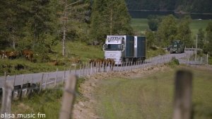 D. White - All the story is history Beautiful clip 80s 90s Music Disco