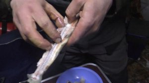 Расколотка из ОМУЛЯ  от Extremefish рыбалка на Байкале