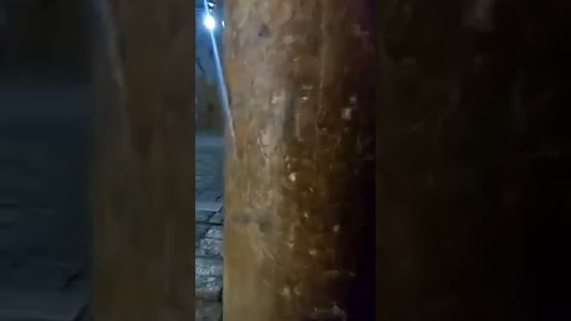 ЭКСКУРСИЯ ИЕРУСАЛИМ #2. ХРАМ ГРОБА ГОСПОДНЯ
