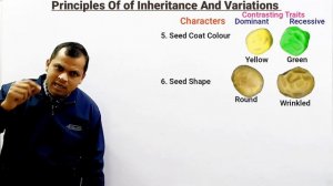 Mendel's Law of Dominance Explained | Principle of inheritance and variation | Class 12 Biology