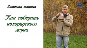 Средство от колорадского жука