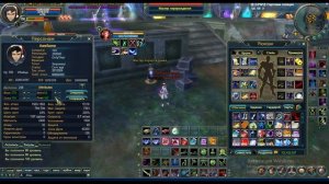 За 1 мин до 100лвл и Как Правильно Раскидывать статы На Сина Perfect World (PW)