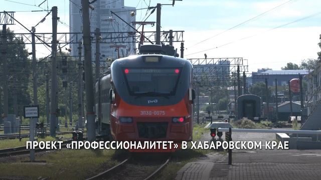 Проект «Профессионалитет» в Хабаровском крае