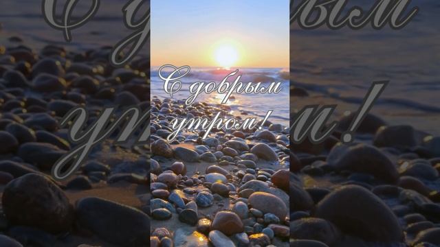 Ролик с добрым утром | SunPikRu смотреть онлайн