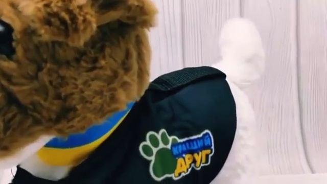 Інтерактивна мʼяка іграшка песик «Кращий друг» смотреть онлайн
