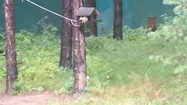 Моя дача смотреть онлайн