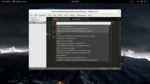 Instalar Plugins y Tema en Sublime Text 3