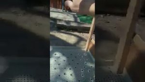 Клетка для цыплят своими руками ч1