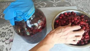 ВИШНЁВКА! По старому рецепту! Первый этап! #вишнёвка #вишнёваяналивка #рецептвишнёвки
