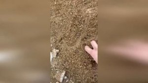 обогащенный песок