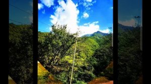 Природа, цветы , лето! Прелестно! Прекрасная музыка.mp4