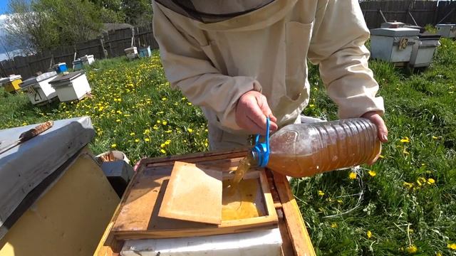 Функциональная кормушка для отводка. Принцип работы. Пасека Лаврова. смотреть онлайн