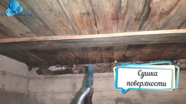 Осушение подвала и удаление плесени за один день!