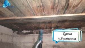 Осушение подвала и удаление плесени за один день!