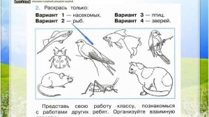 Задание 2 Какие бывают животные - Окружающий мир 2 класс (Плешаков А.А.) 1 часть