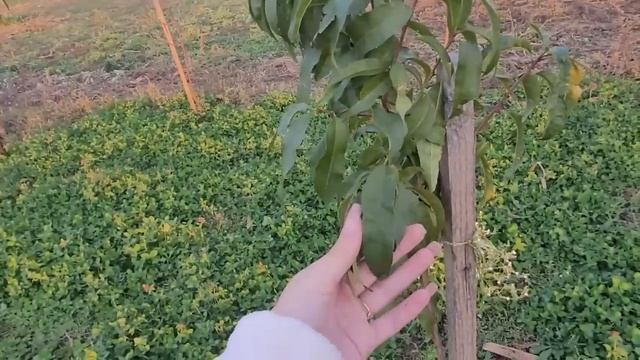 Переехали на ЮГ \ Хорошо что мы это увидели смотреть онлайн