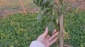 Переехали на ЮГ \ Хорошо что мы это увидели