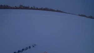 БЕЗМОТЫЛКА не оставит без рыбы! Ловля плотвы, подлещика и окуня на безмотылку зимой! Зимняя рыбалка