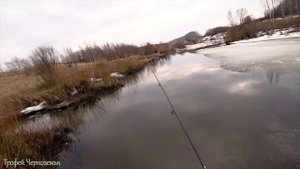 Ловля щуки на спиннинг! Рыбалка весной в невероятном месте!