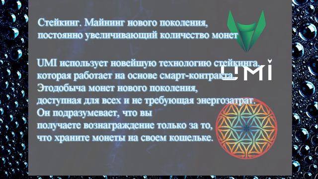 Преимущества монеты UMI. К дню рождения монеты Юми посвящается.